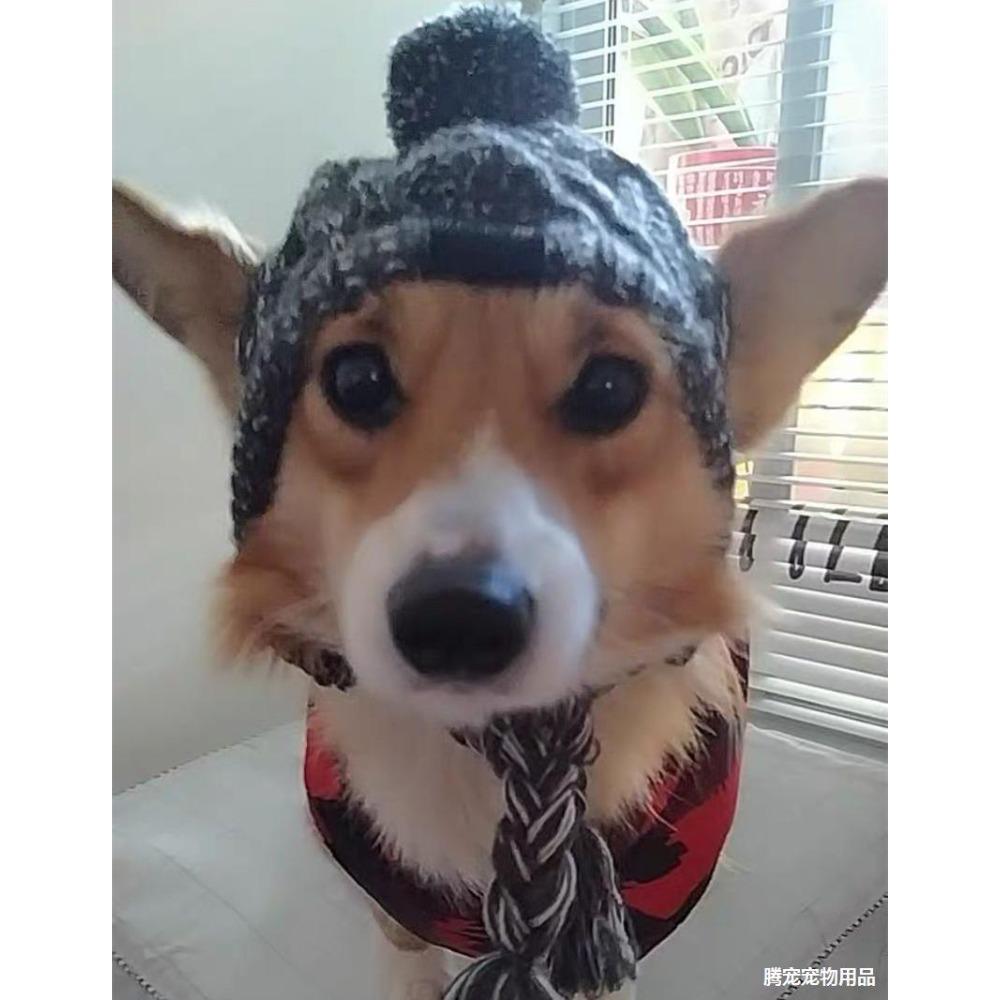 Новый головной убор для питомца осень-зима помпон теплый и антифриз ветрозащитный пушистый шар вязаный французское ведро большая и маленькая собака вязаная шапка