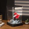 Compact Desktop Eco Fish Tank for Home and Office