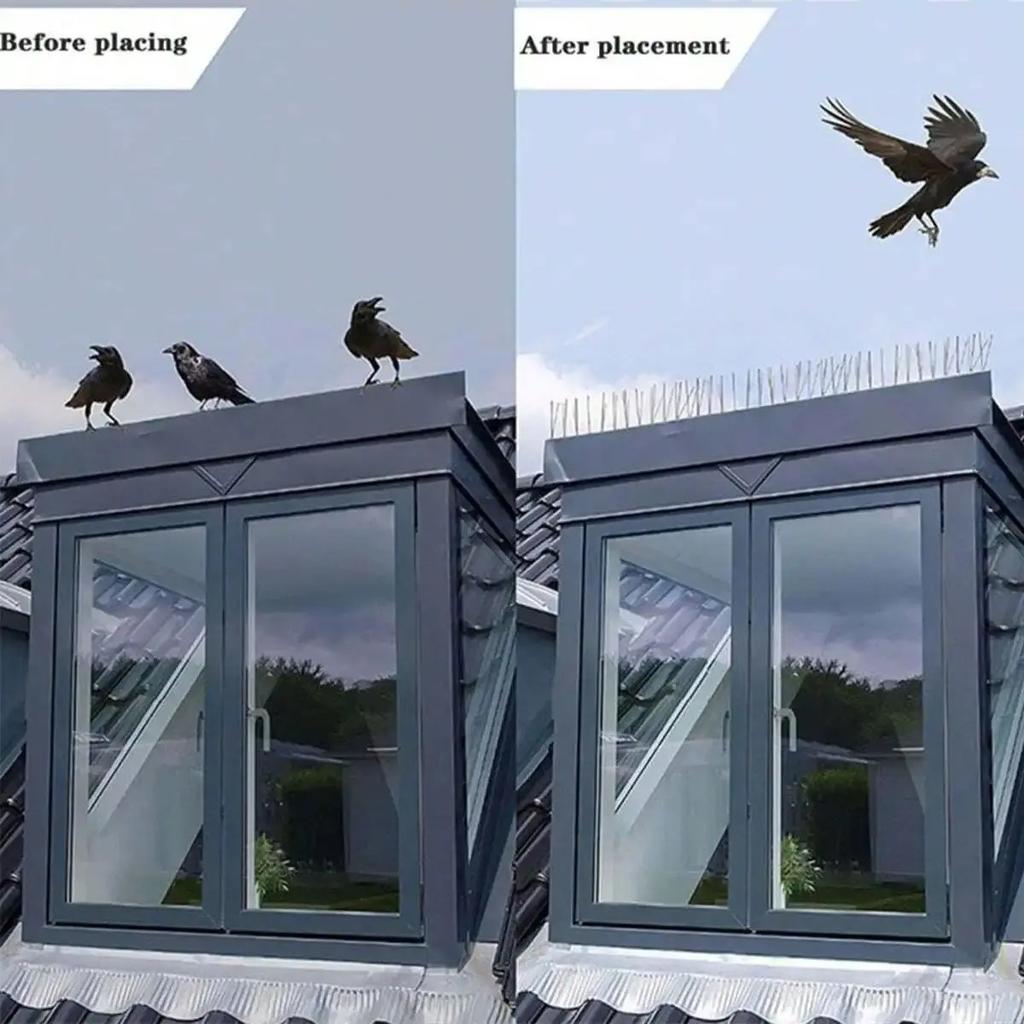 Pigeon Spikes Stainless Steel Bird Repeller Set Deterrent Anti Bird Pigeon Squirrel Cats Repellent for Garden Fence Roof