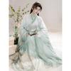 Мужской Костюм Косплея Hanfu в Стиле Wei-Jin, Традиционный Китайский Hanfu, Ученый, Рисунок Тушью