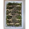 Donguibogam Camphor Ginseng, 10 Roots of 7-8 Year Old roots/KRW 30,000, Wild Ginseng, Natural Sprouts, Lunar New Year, Chuseok, General Packaging