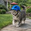 Solid Color Dog Helmet Adjustable Cat Locomotive Helmet Fashion Pet Head Protection  Traveling