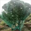 OIMG Thickened Plastic Poultry & Orchard Protection Net