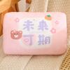 Student Autumn And Winter Dual-Purpose Hand Warmer Throw Pillow Hand Warmer Cover Can Be Inserted Into The Pillow Office Plush Lunch Break Pillow