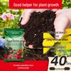 Nutrient-Rich Soil for Flowers & Vegetables - Ideal for Household Gardening