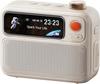Divoom Flowtoo White Noise Machine Screen Display Bluetooth Speaker Alarm Clock Waterproof Outdoor Sleep Relaxation and Gift