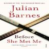 Before She Met Me by Julian Barnes Paperback Book 9780099540076