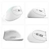 ZELOTES F-36 Wireless Vertical 2.4G Bluetooth Mouse Full Color Light 8 Key Programming Five DPI