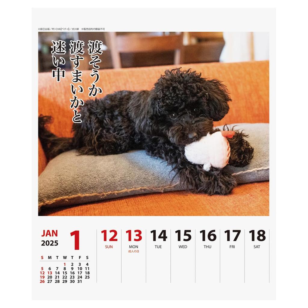 2025 Пудель Сенрю (Еженедельно) Календарь №028