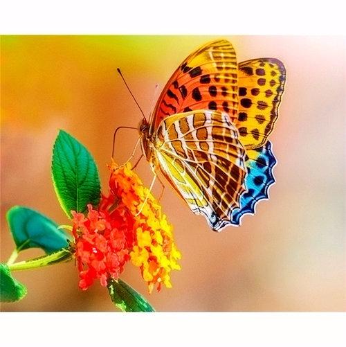 DIY 5D Полная Алмазная Вышивка Цветок Алмазная Мозаика Бабочка Алмазная Картина Животные Стразы Фотографии Дисплей Подарок Домой