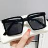 Солнцезащитные очки Oversized Square Sunglasses Women's Trend Plain Street Shot High-End Sunglasses