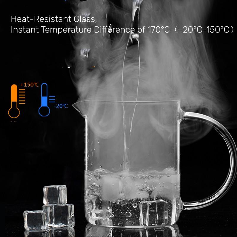 350 мл термостойкий стеклянный чайник с заварочным устройством, набор для приготовления чая, рассыпной чай, цветок, чайный сервиз, горшок для воды из боросиликатного стекла