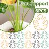 6pcs Climbing Plants Support Clips Alocasia Monstera Plant Support Plants Accessories Leaf Stabilizer Plant Stem Fixation Bracke