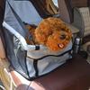 Pet Dog Car Carrier Seat Bag Waterproof Basket Folding Hammock Pet Carriers Bag for Small Cat Dogs Safety Travelling Mesh Bag