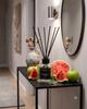 WATERMELON APPLE fragrance diffuser