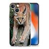 Чехол для телефона iPhone 17 Air Cases iPhone 16 15 12 13 14 Pro Max SE 7 8 Plus iPhone11 Прозрачный чехол Африканская рысь Каракал