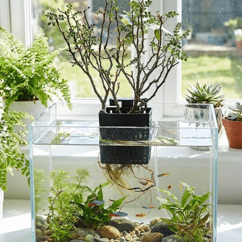 Extendable Hook Aquatic Plant Holder Versatile Plant Cultivation Rack  Plant Cultivation