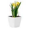 Self Watering Planter with Water Level Indicators Decorative Flower Pots for Bedroom Kitchen Office Home Accessories