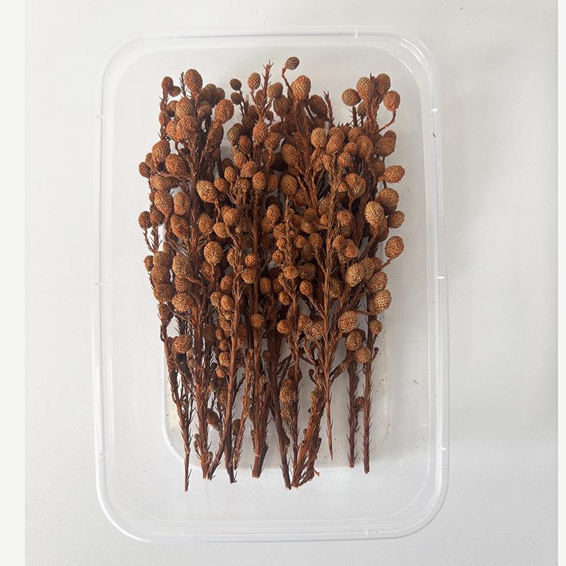 Handmade Mixed Dried Fruits & Flowers DIY Pack for Arranging & Decorating