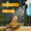 Reptile UVA+UVB Lamp Bulb 6W Turtle Basking UV Light Bulbs Amphibian Heating Lamp Amphibians Lizards Temperature Controller