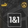 Puma Специальное издание формы Боруссия Дортмунд