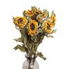 Yunnan Sunflower Dried Flowers - Natural Home Decoration DIY Material