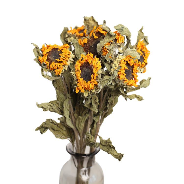 Yunnan Sunflower Dried Flowers - Natural Home Decoration DIY Material