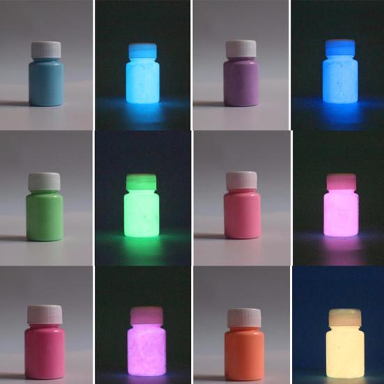 20g Glow In Dark Fluorescent Powder Pigment Painting Nail Body Art Party Decor