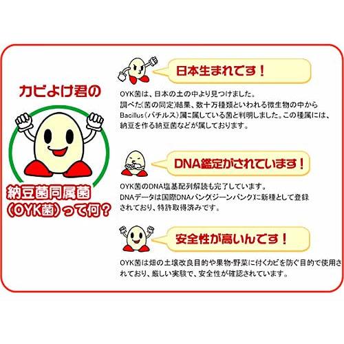 Comolife Bio Mold Guard for Window Edges, Mold Suppression, Natural Bio, for Bathroom Sinks, Windows, Replacement Lasts Approximately 3 Months, Made I