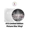 LP Версия 613 Ограниченное Издание Picture Disc Винил Версия BTS Пятый Альбом ARIRANG