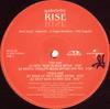 12-дюймовая пластинка GABRIELLE - Rise MR0100 Major Records 1999 Италия Танцевальная и электронная музыка Б/У