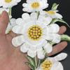 Daisy Clothing Applique Elegant Clothes Patches Flower Embroidered Patches  Sewing