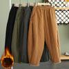 Autumn Winter Warm Clip Cotton Thickened Retro Down Cotton Pants for Women's Outwear Elastic Waist Loose Relaxed Pants