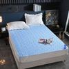 Waterproof Bedspread Bed Cover On The Bed Non-slip Breathable Mattress Protector with Elastic Band Anti-dirty Mat for Home Hotel