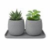 Set of 2 Mini Flowerpots with a Gray Saucer