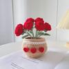 Handmade Woolen Yarn Flowers Crochet Knitting Kit No Finish Tulip Potted Flower  Desktop Ornament