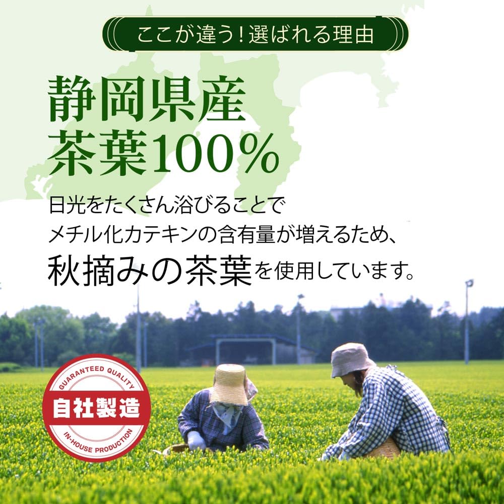 Порошковый чай Benifuki в стиках 1 г x 100 пакетиков, богатый метилированными катехинами из порошкообразного зеленого чая Сидзуока