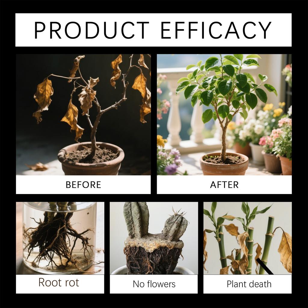 Растительный компост, Повседневная жизнь растений, Поглощает и питает Сельскохозяйственный посадочный порошок.