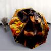 1pc Dachshund Flowers Automatic Folding Umbrella, Sturdy And Durable Automatic Folding Umbrella with 8 Ribs, Convenient for Outdoor Use085