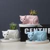 With Tray Cat Flower Vase With Drainage Hole Kitten Vase Container Ceramic Flower Pot  Bonsai