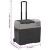 VidaXL Cooler with Wheel and Adapter, Car Refrigerator, Electric Cooler Hiking Picnic Camping, Black 3154636
