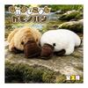 Плюшевая игрушка Утконос Koyoshi Nakayoshi Большая 2 типа Прибл.. 40см (коричневый)