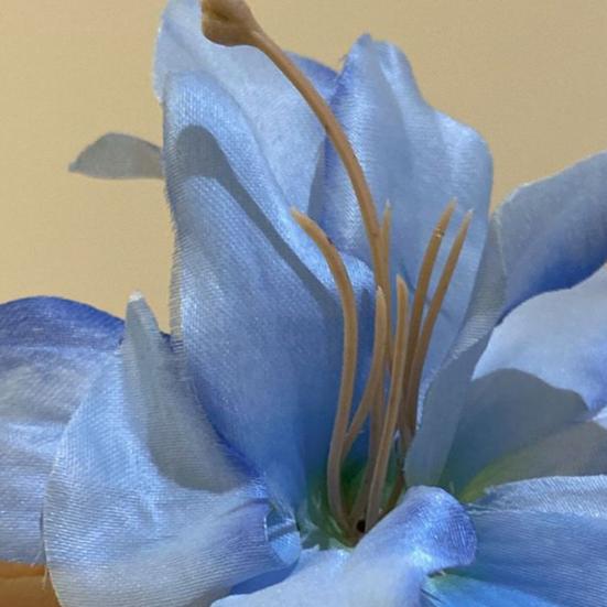 1 пара женских заколок для волос с крупным цветочным декором, боковые заколки для волос, без