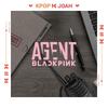 [BLACKPINK THE GAME КОЛЛЕКЦИЯ КУПОННЫХ КАРТ] АГЕНТ BLACKPINK Официальный Запечатанный