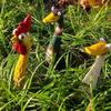 Funny Screaming Chicken Statues Resin Crafts Chicken Figurine  Garden Courtyard Decoration