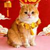 Adorable Chinese Style Pet Cat Scarf Warm Cute New Year Dog Collar Adjustable Length Blessing Puppy Bib Spring Festival