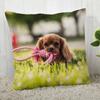 Pillowcase Cocker Spaniel  Modern Home Living Room Decoration