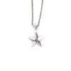 SEWNSWEN SILVER GEM STAR NECKLACE