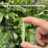 18Pcs Plant Fertilizer Spike Household Indoor Outdoor Flower Food Healthy Growth Long Lasting Slow Release Nutrient Stick Gardening Supplies