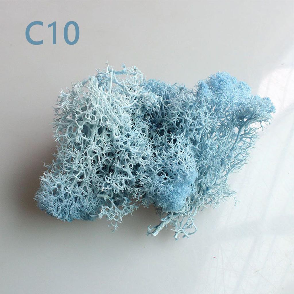 Украшение Рождественский цветок Искусственное растение Мох олений Вечный мох Микроландшафт